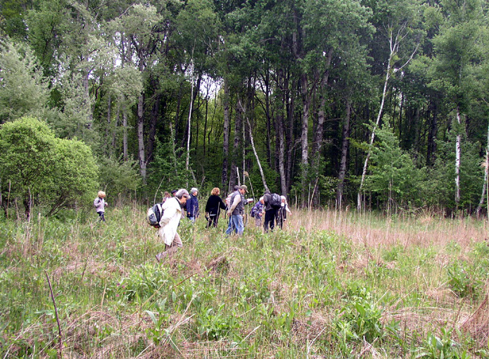 2009 Marais de la Voise 07